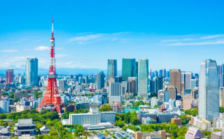 Fruit Picking from Tokyo