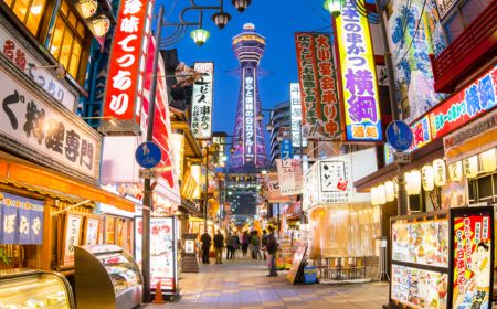 Fruit Picking Tour from Osaka