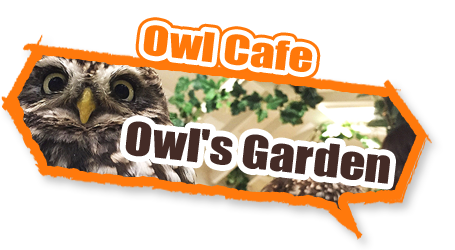 animal cafe Owl garden