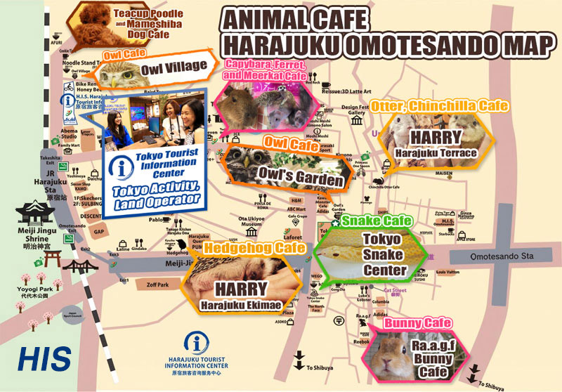 Animal Cafe MAP