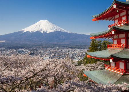 2Days.8Best Views of Mt.Fuji, Beautiful Scenic Oshino Hakkai