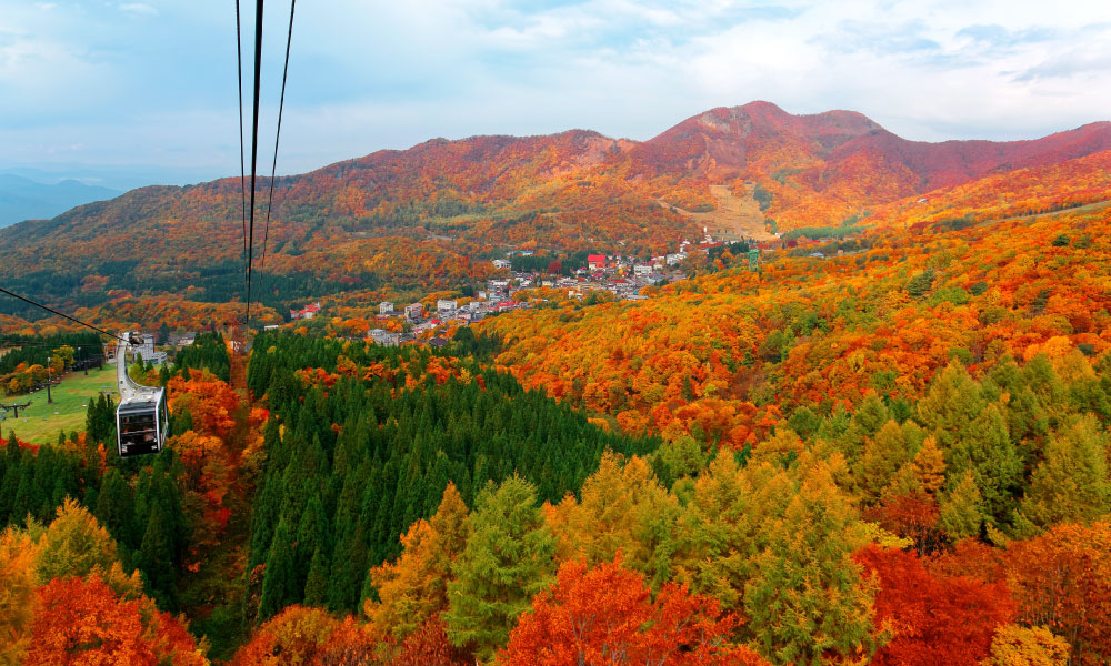 AUTUMN LEAVES OF Mt.ZAO