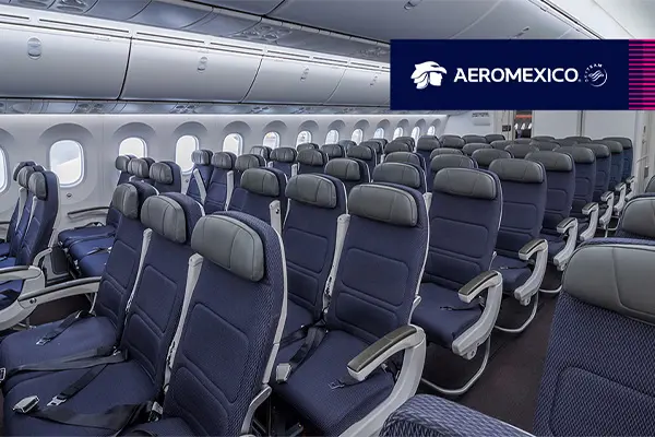 エコノミークラスシート（イメージ）