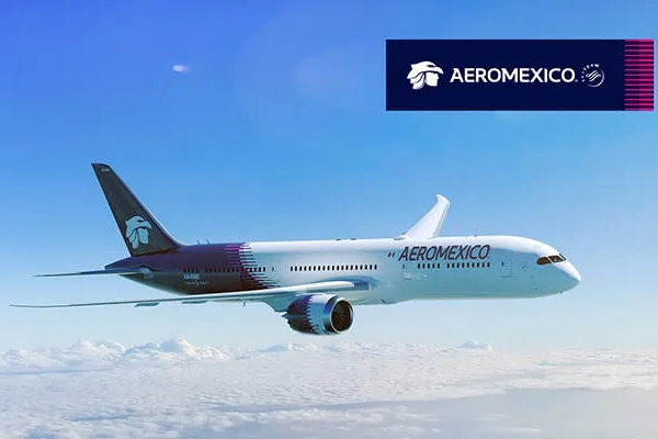 B787 ドリームライナー機影（イメージ）