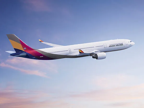 A330機影（イメージ）