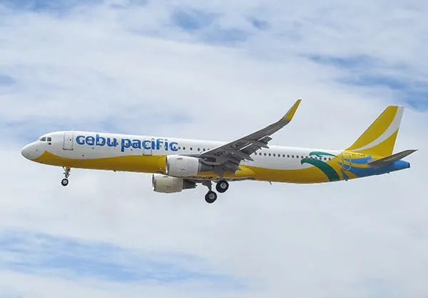 A321CEO機影（イメージ）