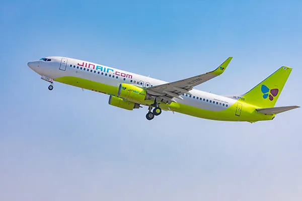 ボーイング737-800機影（イメージ）