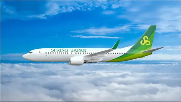 B737-800機影（イメージ）
