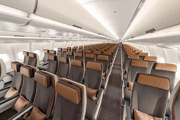 スターラックス航空の国際線航空券・格安飛行機予約【HIS】