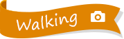 Walking