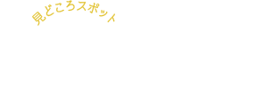 アンコールワットの見どころスポット