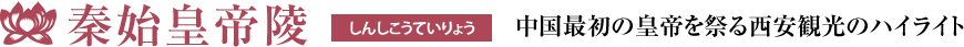 しんしこうていりょう