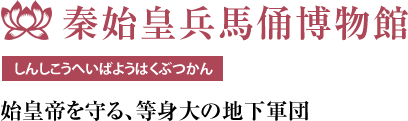 しんしこうへいばようはくぶつかん