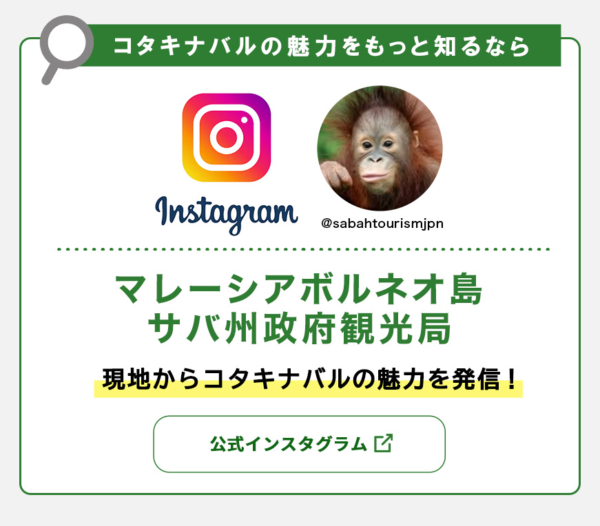 スマホ用サバ州インスタリンク