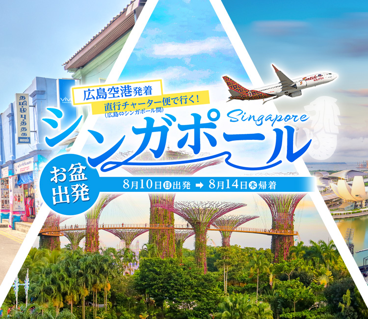 バティック・エア直行チャーター便利用　シンガポール