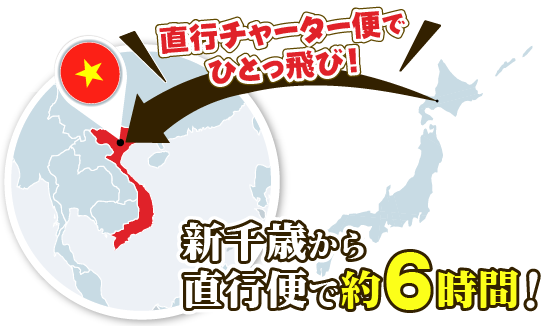 チャーター便イメージ