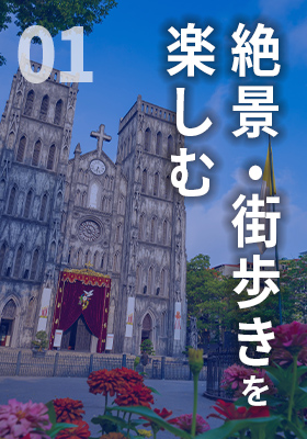 見る・遊ぶ・癒す