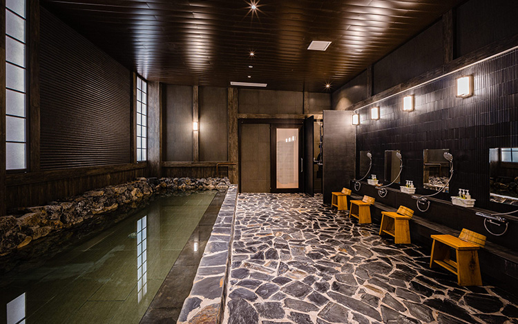 ニッコーハイフォン（イメージ）