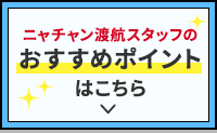 ニャチャン渡航スタッフのおすすめポイントはこちら