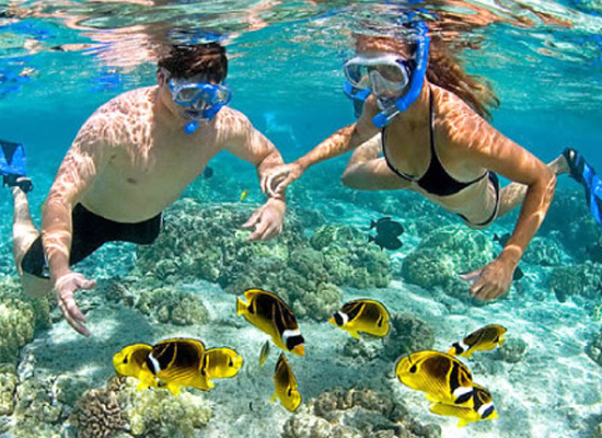 アイランド・ホッピング