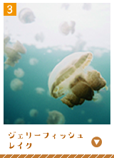 ジェリーフィッシュレイク