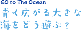 青く広がる大きな海をどう遊ぶ?