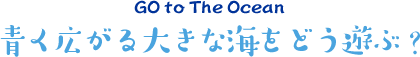 青く広がる大きな海をどう遊ぶ?