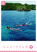 シュノーケリング