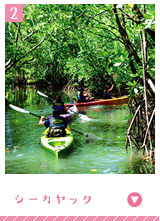 シーカヤック