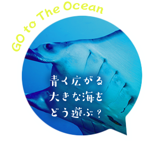 青く広がる大きな海をどう遊ぶ?
