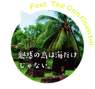 魅惑の島は海だけじゃない。