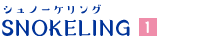 シュノーケリング