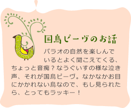 国鳥ピーヴのお話
