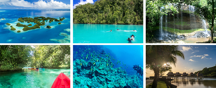 パラオイメージ