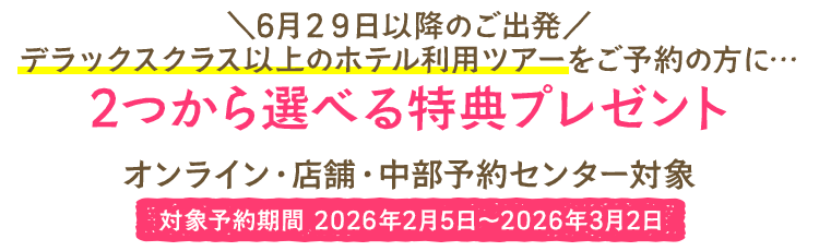 ハワイ ドキ特典