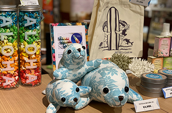 SNSフォローキャンペーン