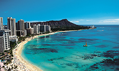 ハワイセミナー大集合