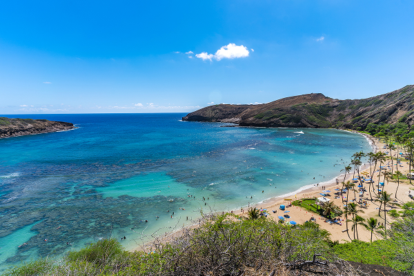 海洋自然保護区 ハナウマ湾シャトル
