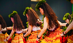 Hālau Ka Lei Aloha OʻĀpuakea  (ハラウ カ レイ アロハ オ アプアケア) 