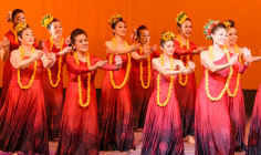 Hula Hālau Kanani Lehua（フラ ハーラウ カナニ レフア）