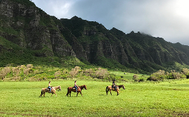 クアロアランチ