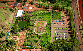 ドールプランテーション