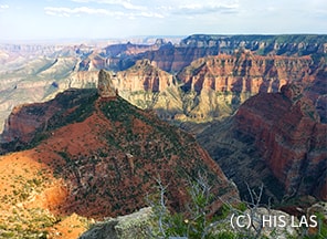 ポイントインペリアル