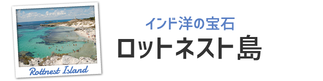 ロットネスト島