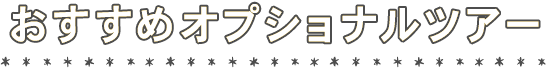 おすすめオプショナルツアー