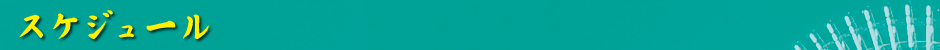 スケジュール