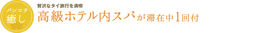 高級ホテル内スパが滞在中1回付