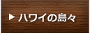 �n���C�E�F�f�B���O