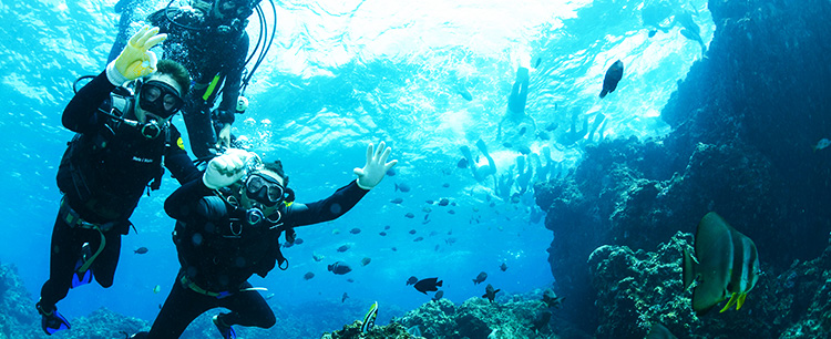 沖縄本島のダイビングイメージ