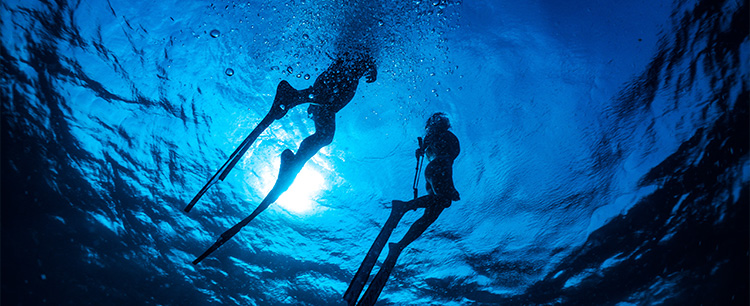 石垣島のダイビングイメージ